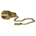 CGA 580 Hose Plug & Chain