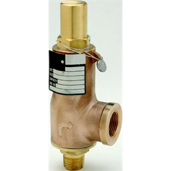 Cryogenic Safety Valve