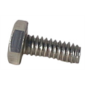 Screw 1/4"-20 S.S