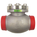 Check Valve, SS Body and Topwork 2"