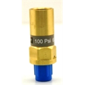 Generant 1/4" 100 PSI Pressure Relief Valves For Liquid Dewars Only