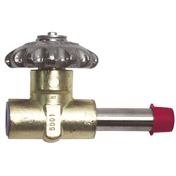Valve Replacement 3/8