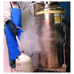 Cryogenic Hoses