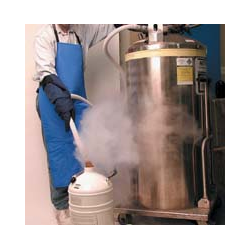 Cryogenic Aprons