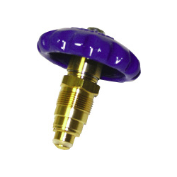 Valve Rebuild Kit