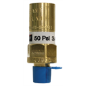 Generant 1/4" 50 PSI Pressure Relief Valves For Liquid Dewars Only