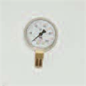 Gauge Lower Mount Brass-100PSI 2-1/2"Dia