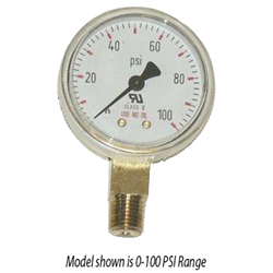 Gauge Lower Mount Brass - 4000PSI - 2-1/2